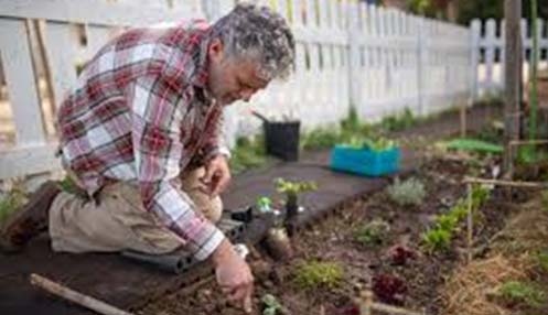 topic3 image representing a man tending a plant in a greenhouse